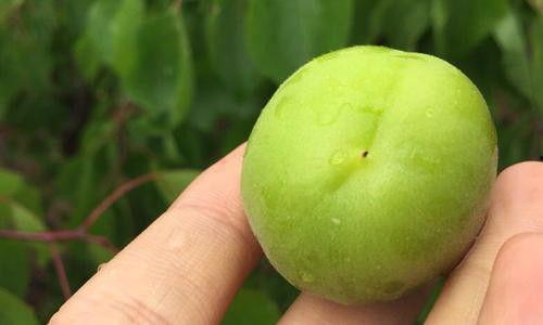 133sx吃瓜,揭秘娱乐圈最新热点事件