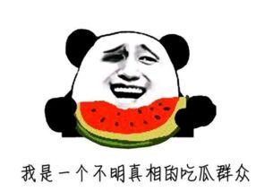 吃瓜群众狗仔牛,揭秘娱乐圈幕后真相的吃瓜群众