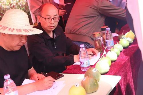 济宁吃瓜直播,带你领略当地美食与风土人情