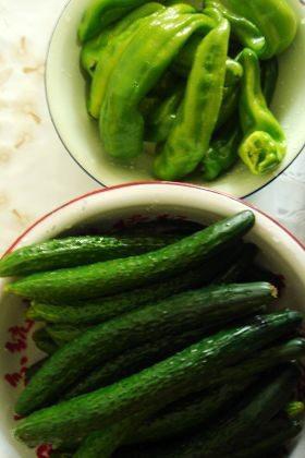 干瓜条怎么吃,干瓜条的多重美味吃法探索