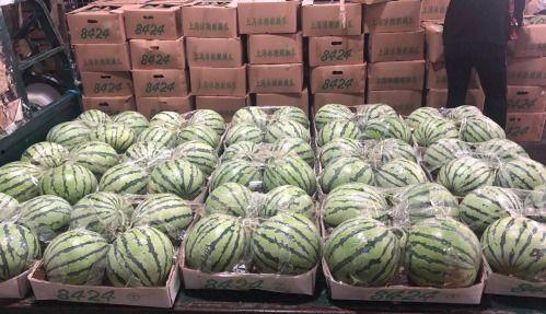 厦门 吃瓜,探寻闽南美食的甜蜜诱惑