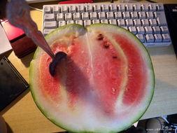 职业哥吃瓜,揭秘娱乐圈幕后真相