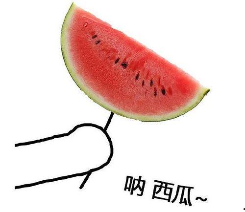 留学圈吃瓜墨尔本,揭秘留学生活中的“吃瓜”趣事