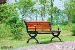 学校长椅吃瓜,一场别开生面的“吃瓜”盛宴