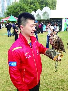 马龙刘诗雯吃瓜,吃瓜群众热议体坛佳话