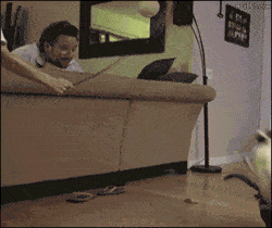 搞笑gif吃瓜群众