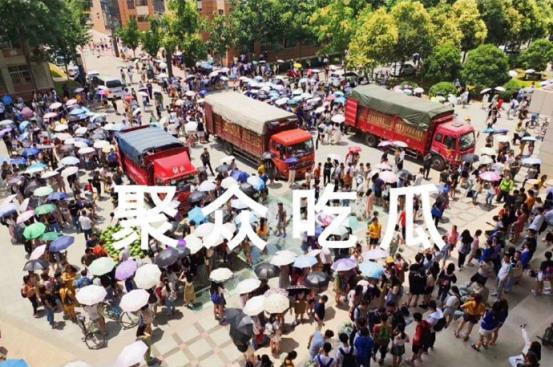 学校吃瓜挑战,揭秘学校吃瓜挑战背后的趣味与智慧