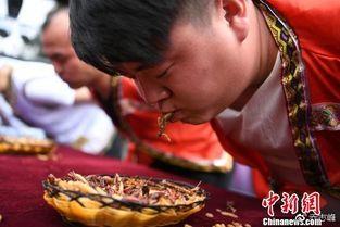 丽江夫妻吃瓜事件,一场引发网友热议的邻里纠纷