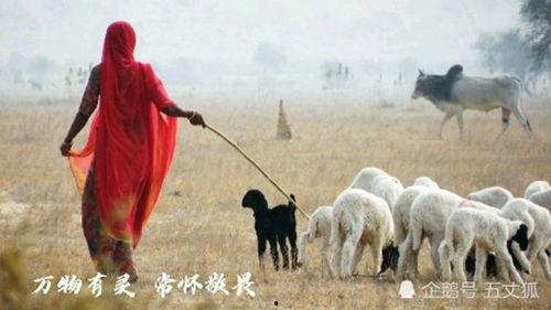 吃瓜趣事多,揭秘娱乐圈那些鲜为人知的幕后故事