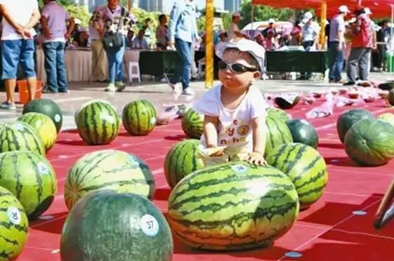 看比赛吃瓜,畅享体育盛宴与生活趣味