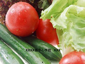 悉尼ppt吃瓜,揭秘背后的故事与幕后花絮