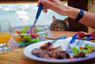 吃瓜吃的两眼发光,两眼发光的吃瓜体验