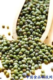 夏天在家喝茶吃瓜,品茗赏瓜，悠然自得时光