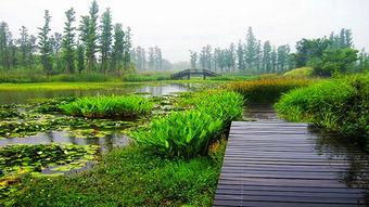 西溪湿地公园吃瓜