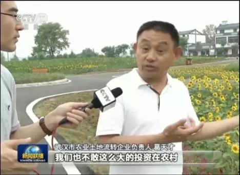 孟平最新吃瓜新闻,最新八卦事件揭秘