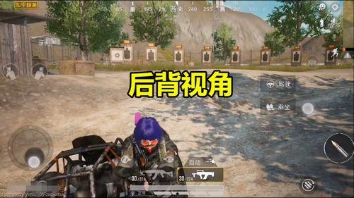 吃瓜游戏第一视角,吃瓜游戏背后的趣味与真相