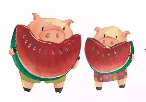 梦见猪吃瓜