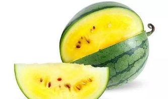 好玩的吃瓜地图,好玩的吃瓜地图带你开启味蕾之旅