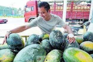 吃瓜的企业,探寻瓜界巨头背后的秘密与商机