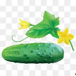 吃瓜照片素材下载大全,海量趣味瞬间，一网打尽！