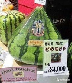 我是吃瓜群众标语